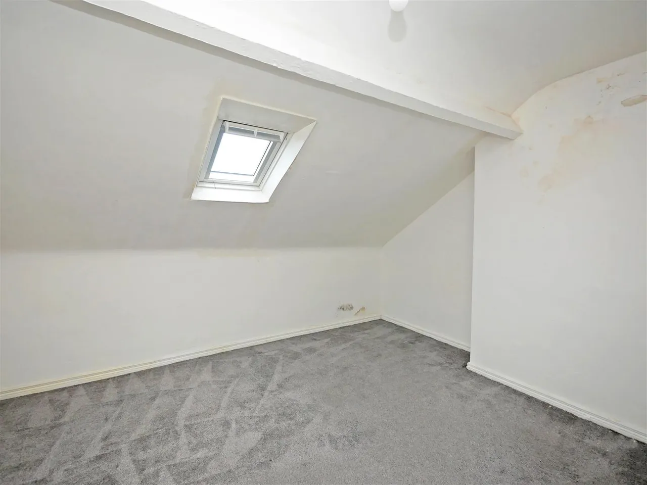 Farnham Street, Belfast, BT7, photo 14
