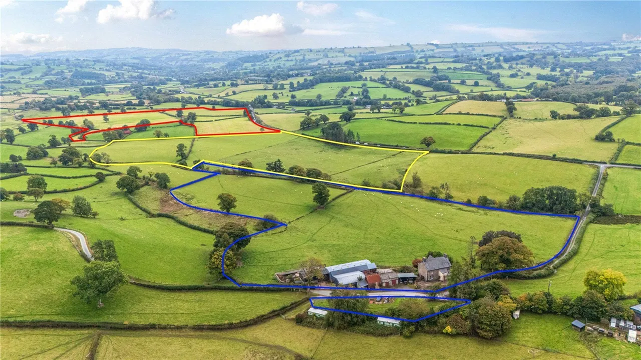 Gelli, Llanfair Caereinion, photo 3