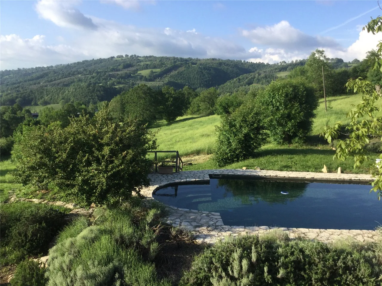 Santa Caterina, Roccalbegna GR, 58053 Italy, photo 10
