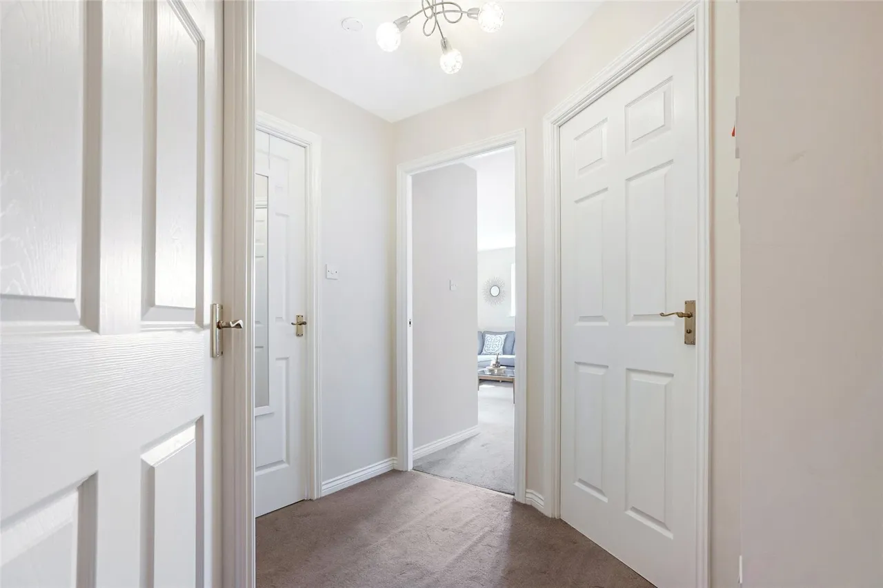 East Greenlees Gardens, Cambuslang, Lanarkshire, G72, photo 5