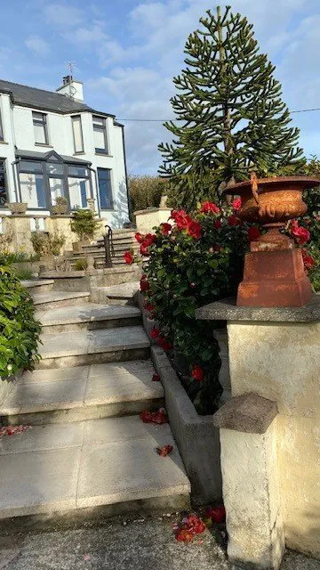 Gwalchmai, Holyhead, photo 34
