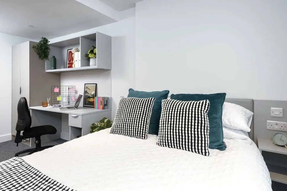 Tenter Street, Sheffield, S1, photo 6
