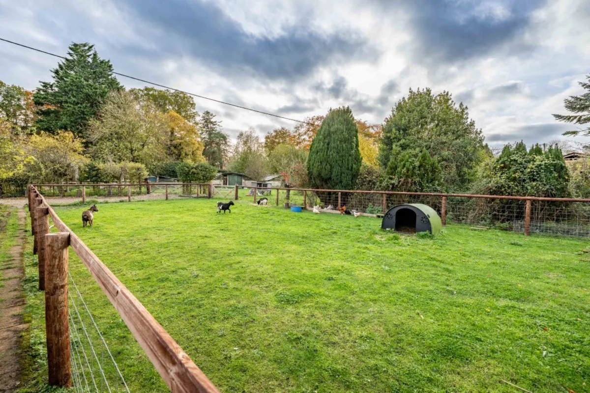 Dereham, Twyford, NR20, photo 29