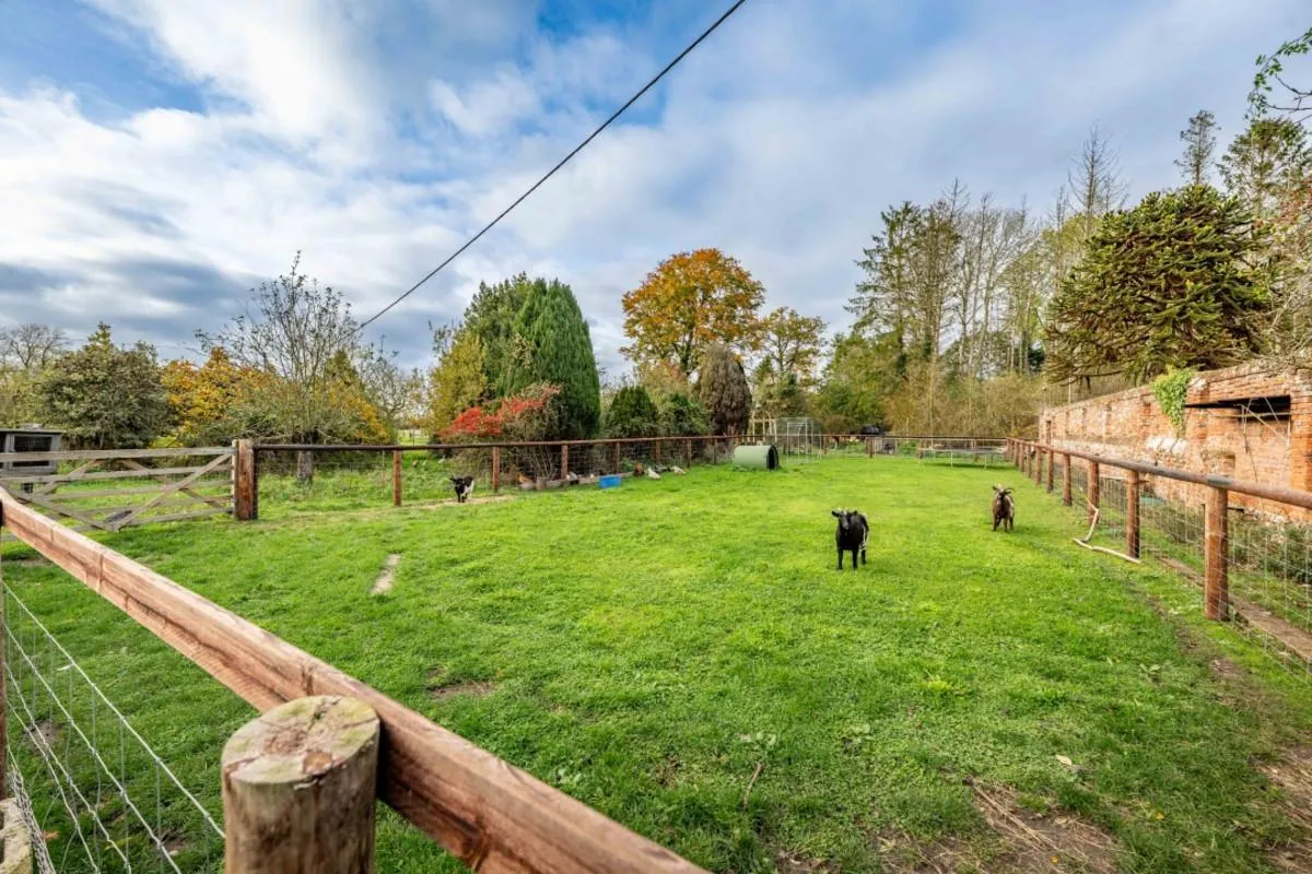 Dereham, Twyford, NR20, photo 28