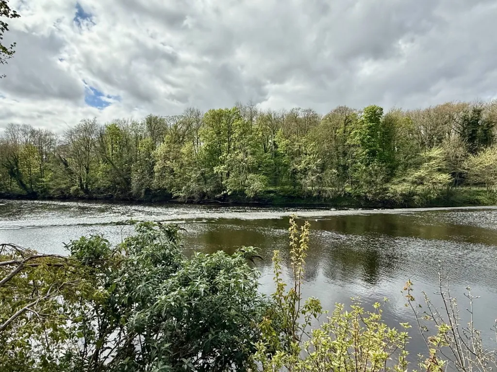 Mill Lane, LS23, photo 11
