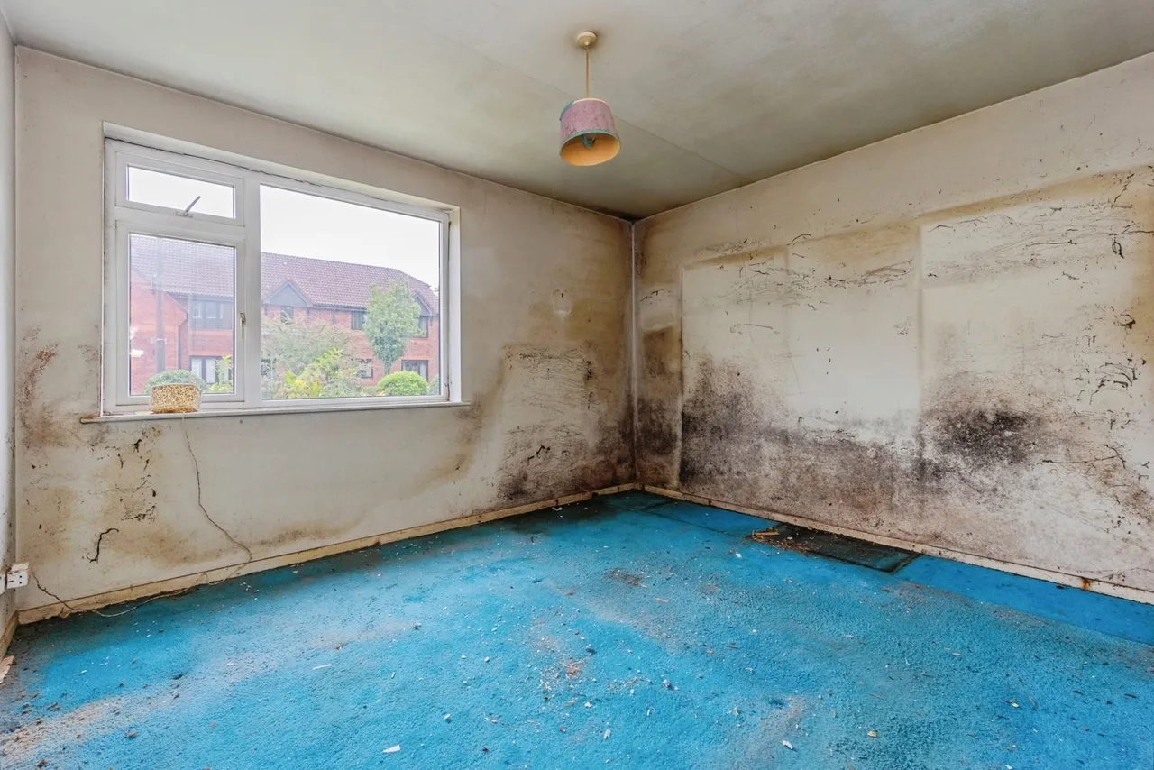 Oakfield, Sale, Greater Manchester, M33, photo 14