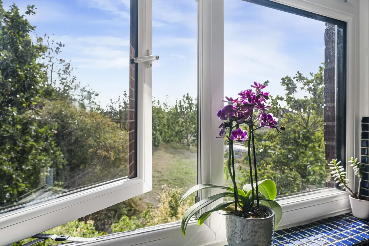 Oak Apple Court, SE12, photo 7