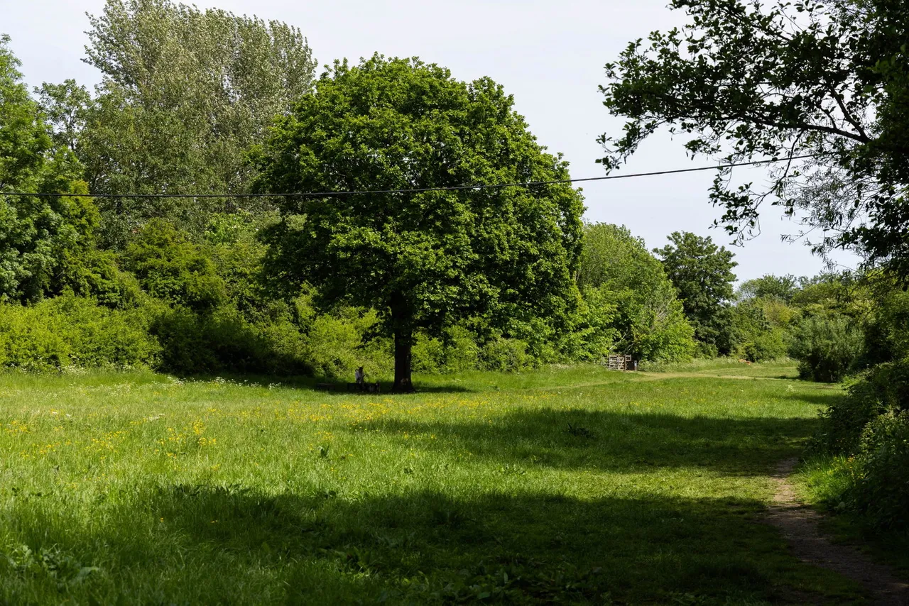 Riverside Terrace, Frome, BA11, photo 43