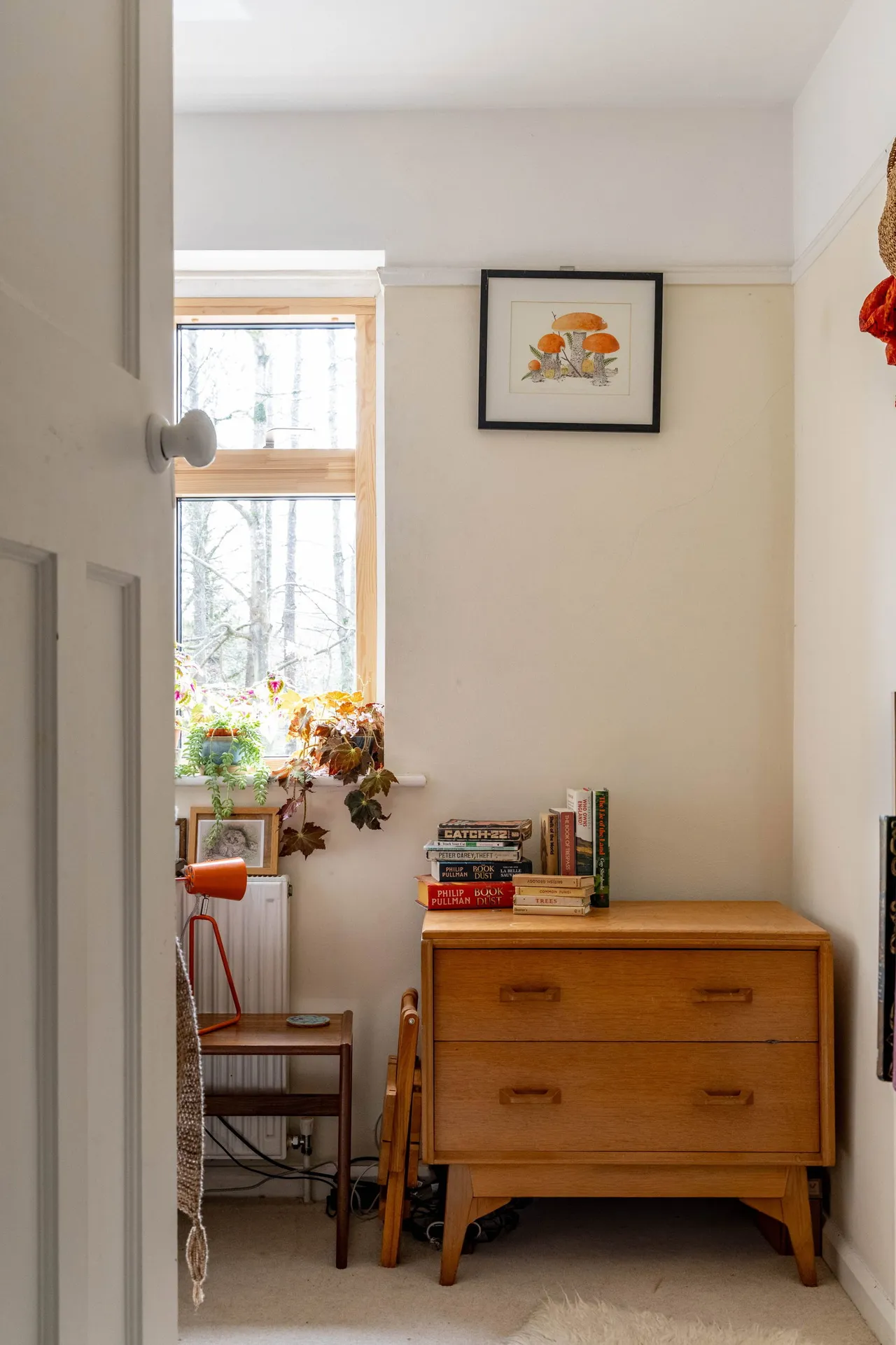Riverside Terrace, Frome, BA11, photo 15