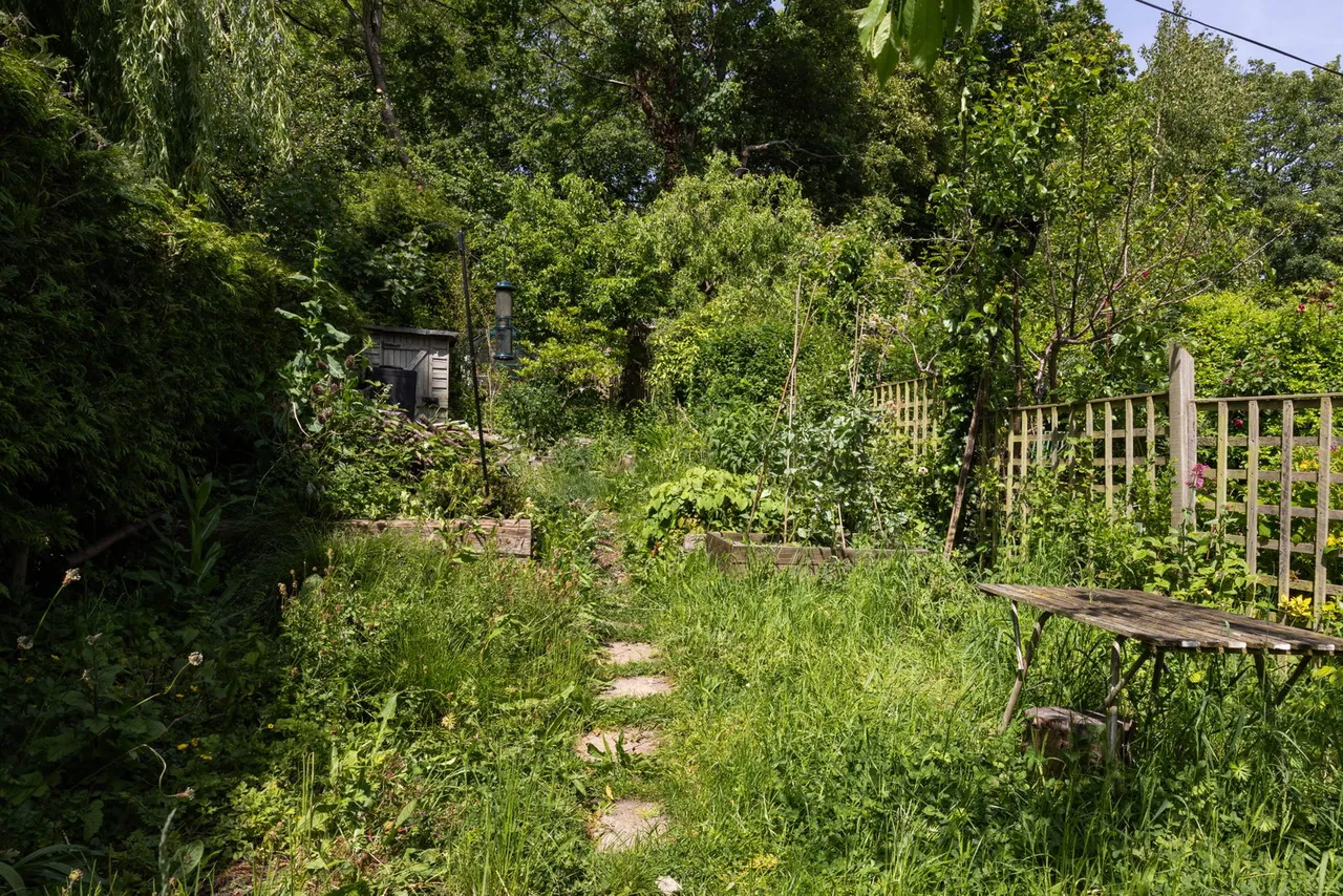 Riverside Terrace, Frome, BA11, photo 17
