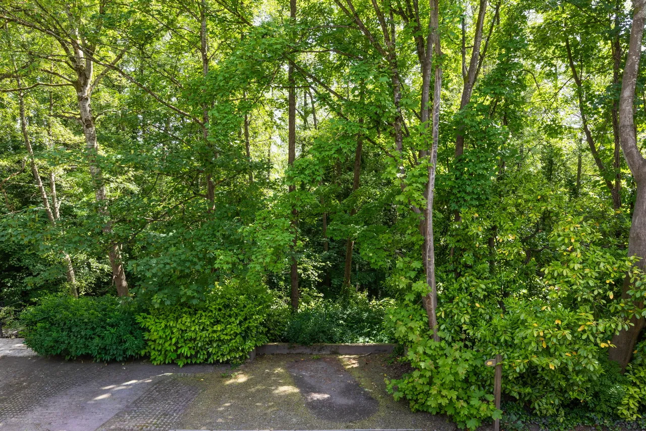 Riverside Terrace, Frome, BA11, photo 19