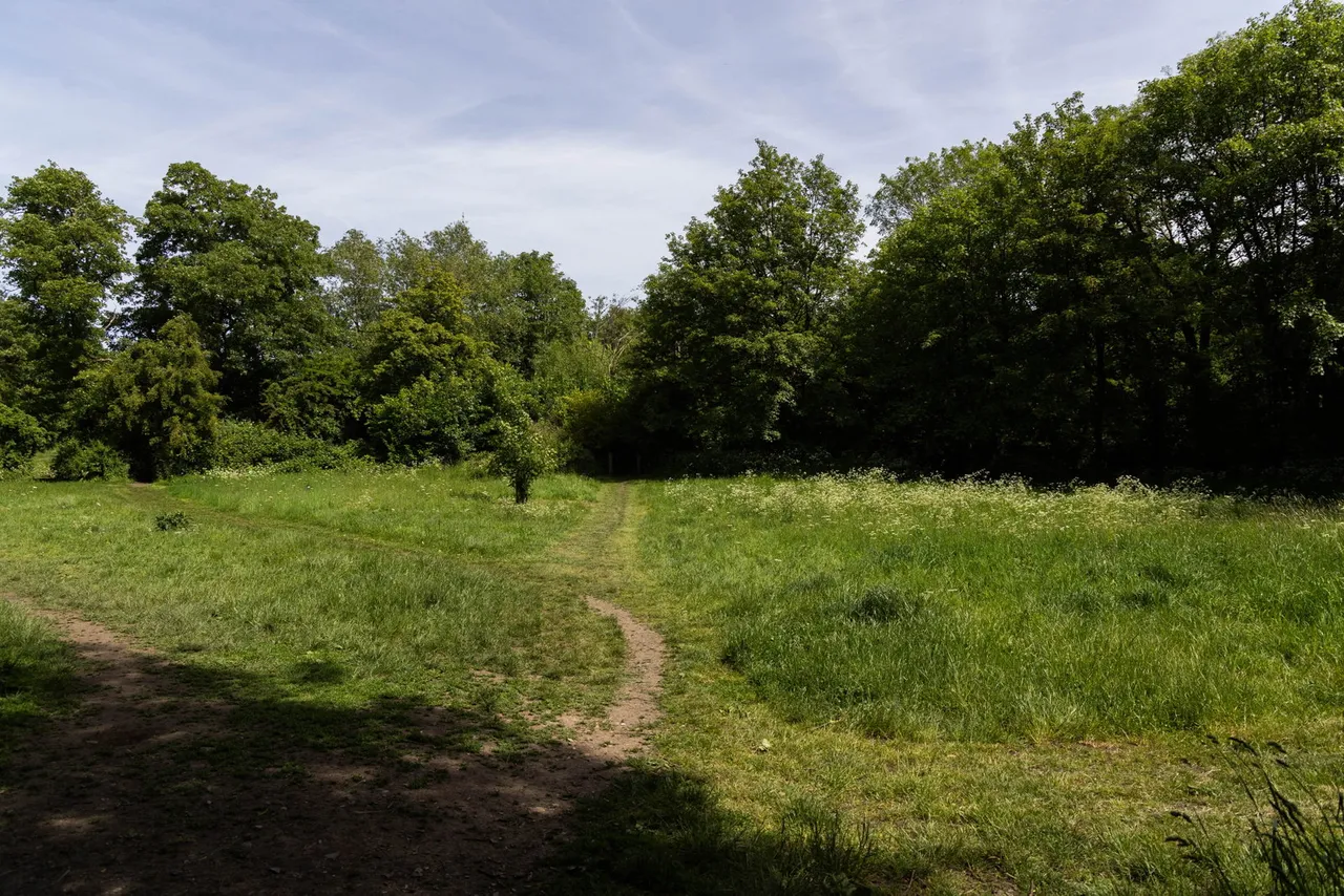 Riverside Terrace, Frome, BA11, photo 22
