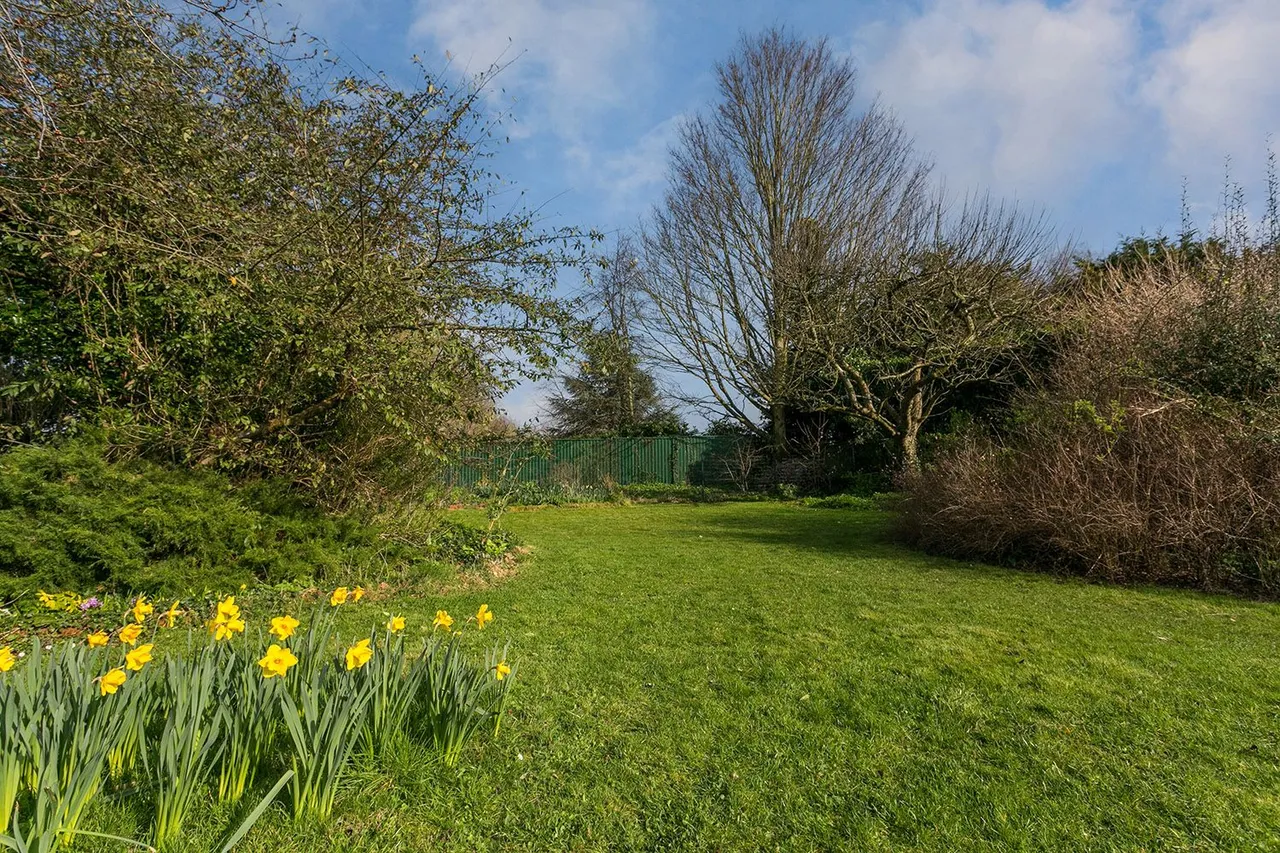The Paddock, Cranbrook Drive, Maidenhead, Berkshire, photo 21