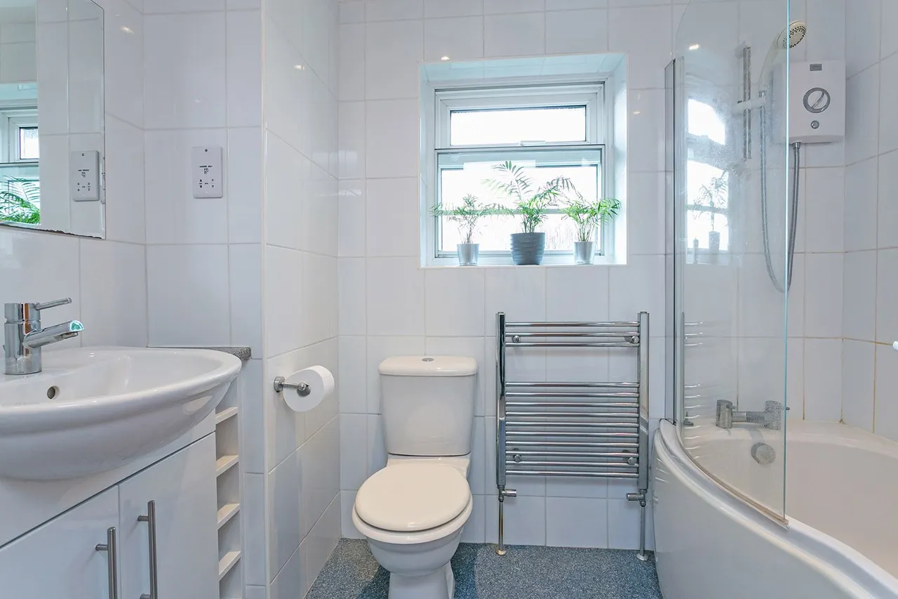 The Paddock, Cranbrook Drive, Maidenhead, Berkshire, photo 19