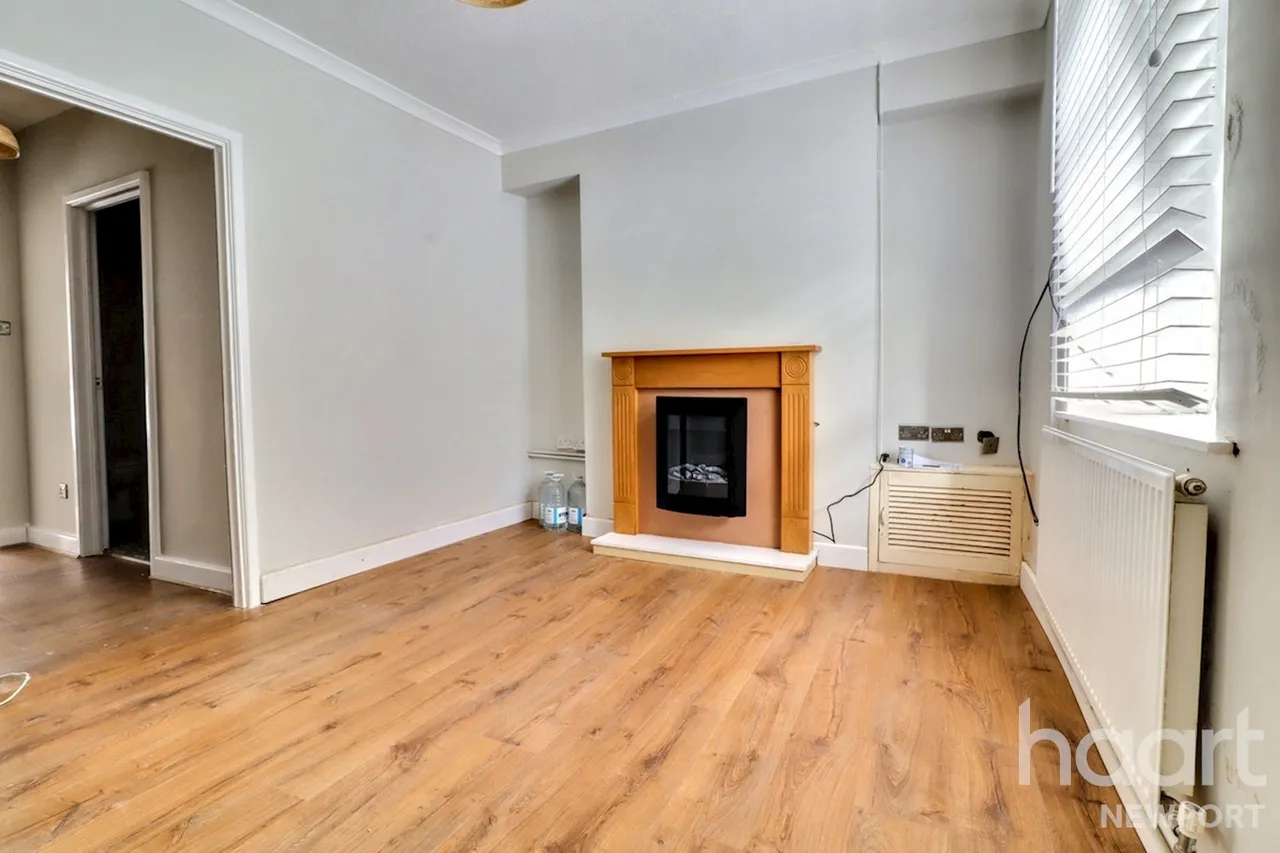 NP11, photo 7