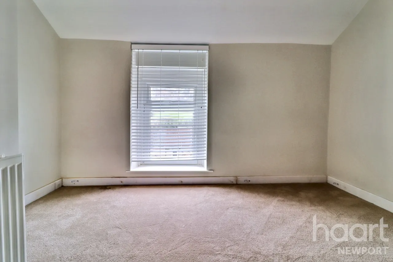 NP11, photo 12