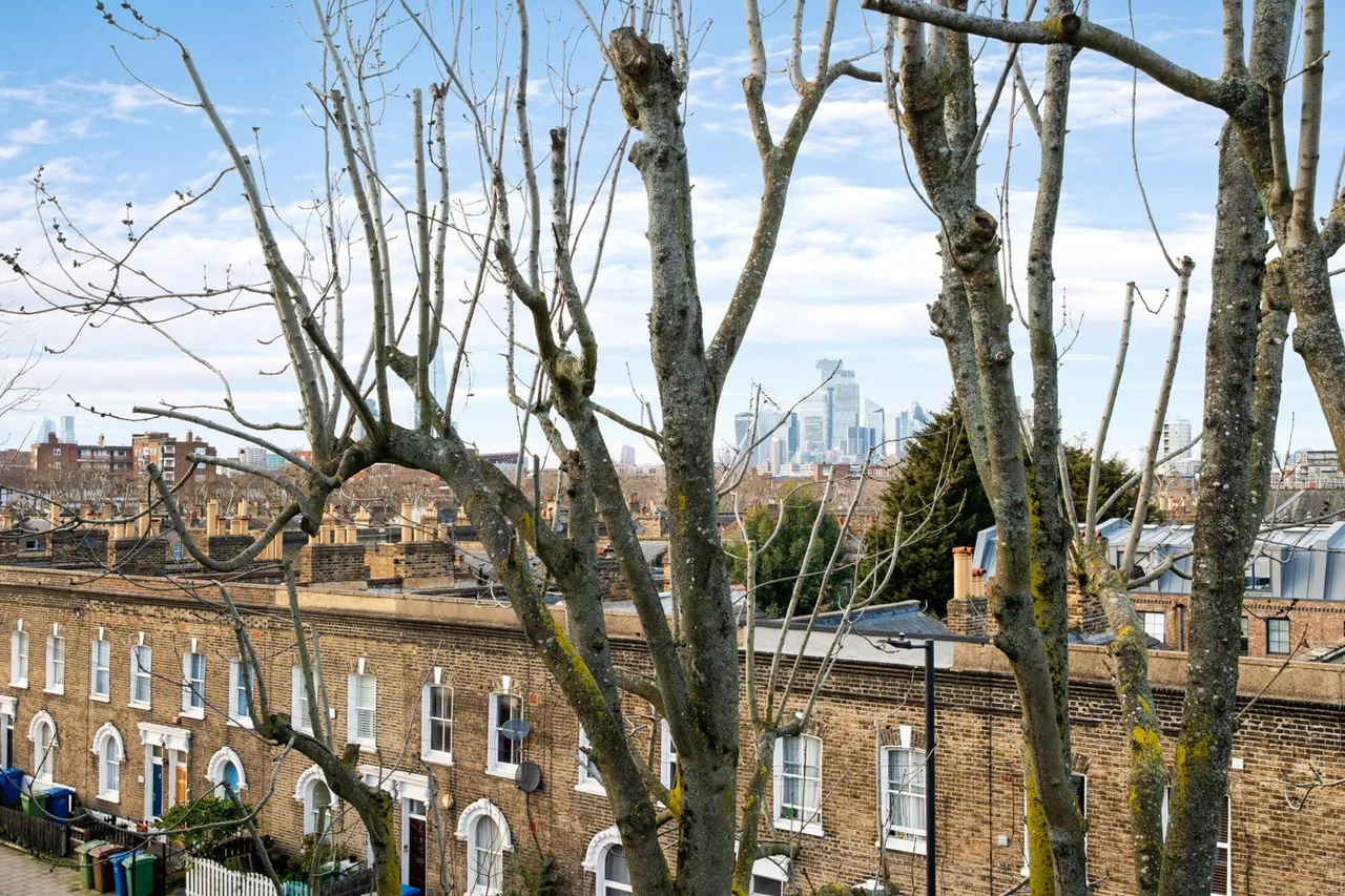Lynton Road, London, SE1, photo 13