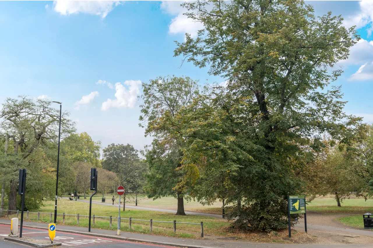 Clapham Common North Side, Battersea, SW4, photo 17