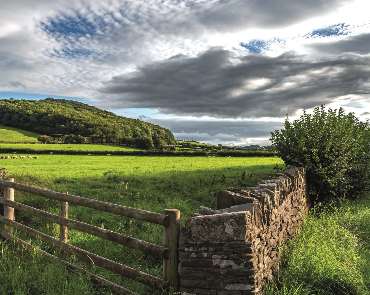 Plot 7 The Ferrers, St Mary's Meadow, Herefordshire,, Millstream Gardens,, HR3 6NR, photo 17