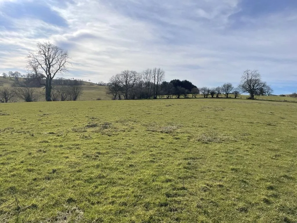Tyn Y Cyl, Llanfihangel, photo 6
