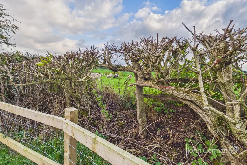 Baxter Road, Uttoxeter, photo 20