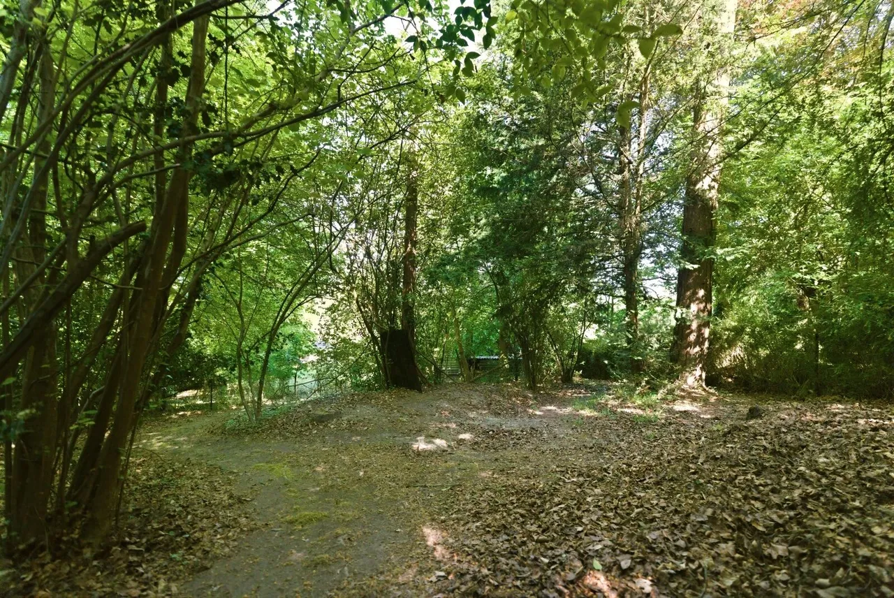 Tring Road, Dunstable, LU6, photo 21