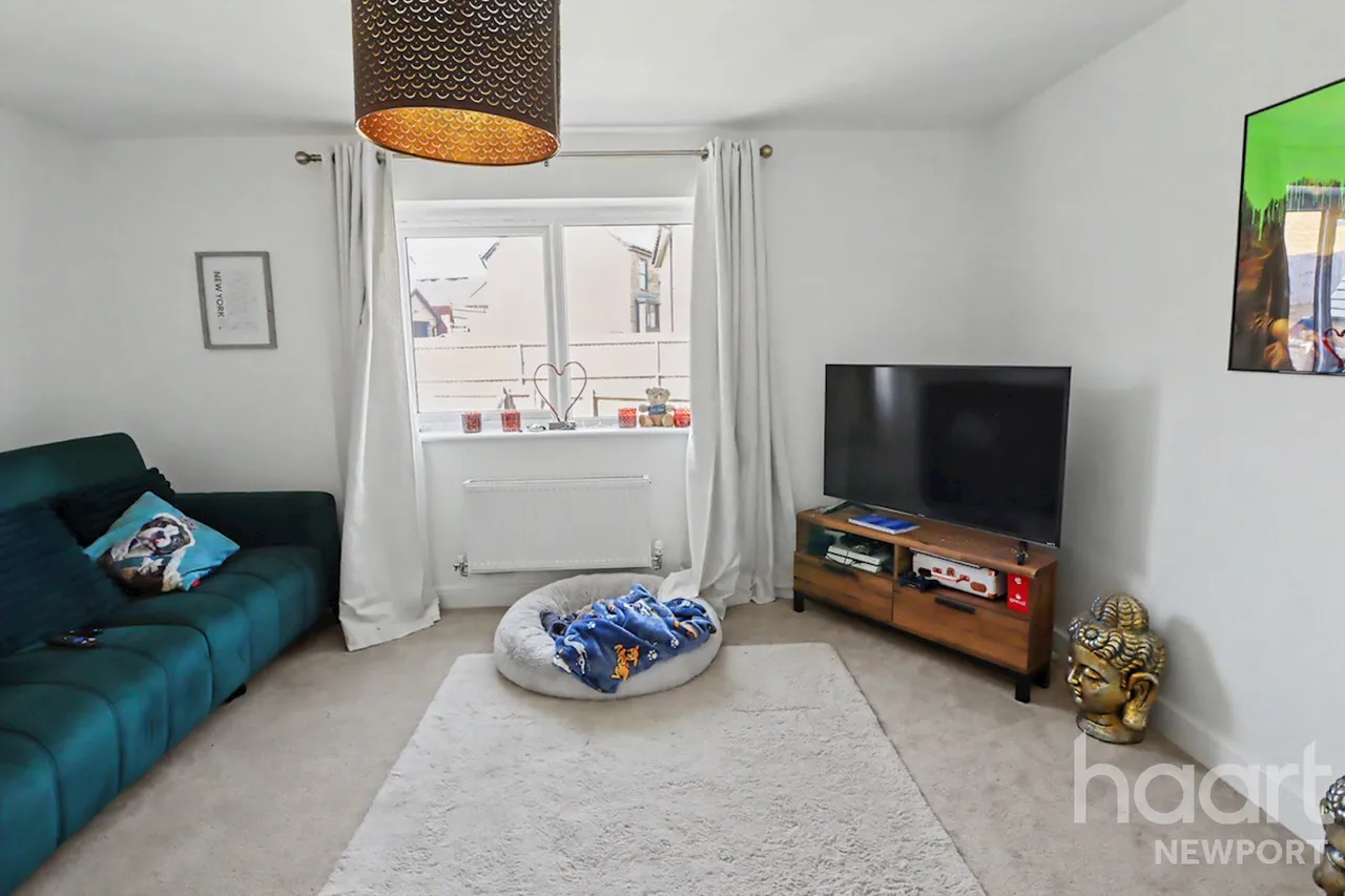 Maes y Nico, Cwmbran, NP44, photo 6
