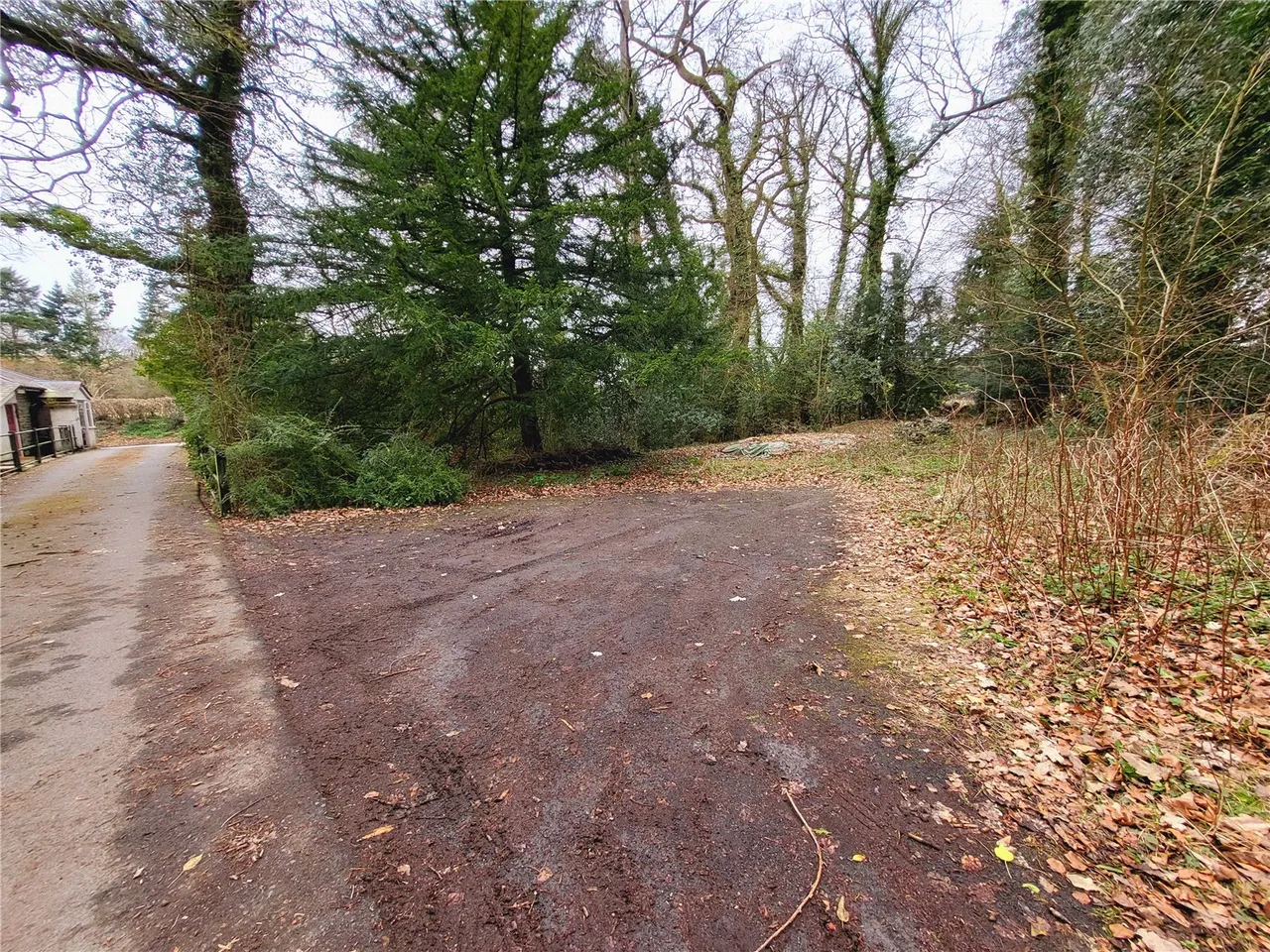 Boultibrooke, Norton, Presteigne, Powys, LD8 2EU, photo 14