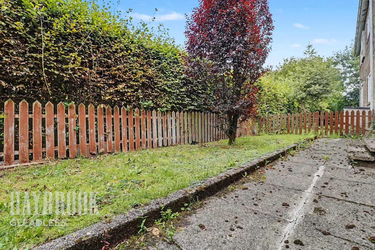 Raeburn Road, Sheffield, photo 16