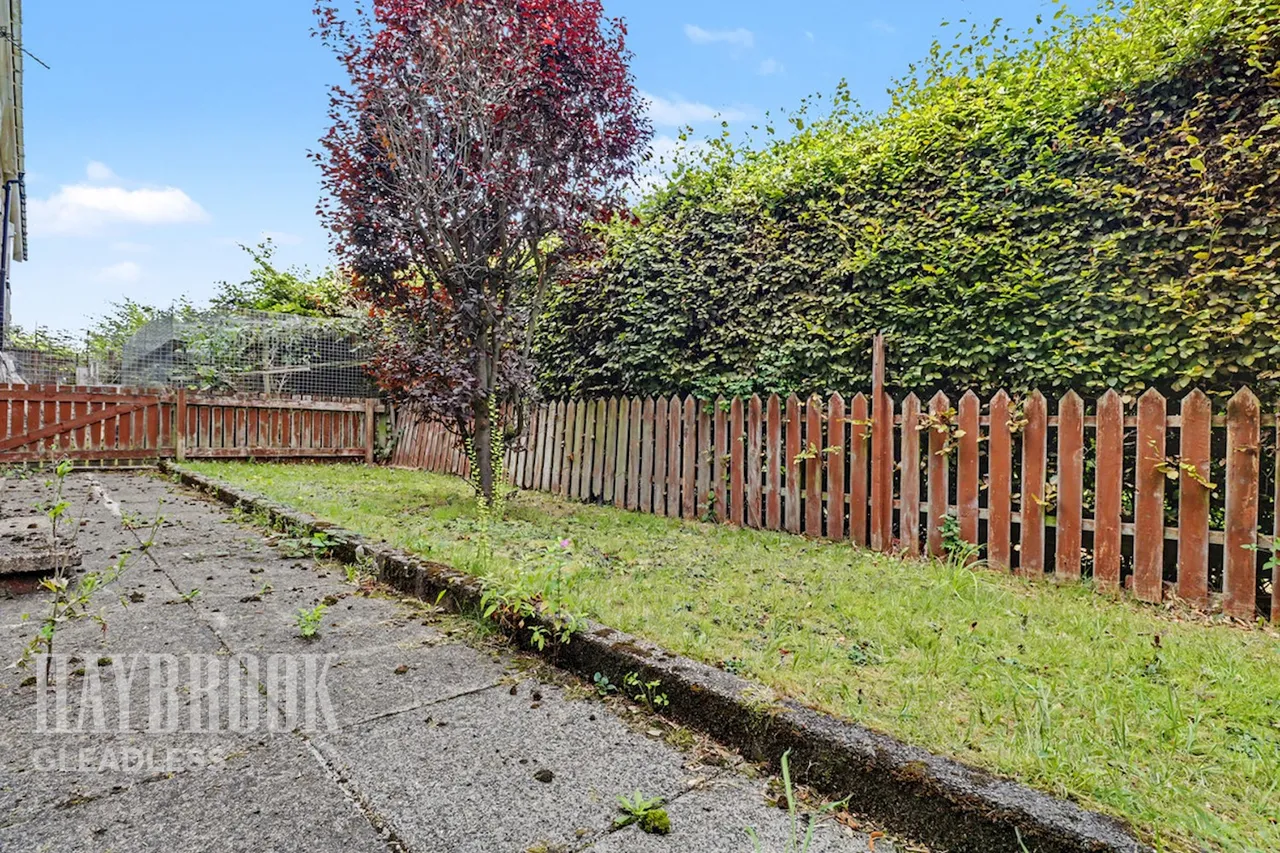Raeburn Road, Sheffield, photo 4
