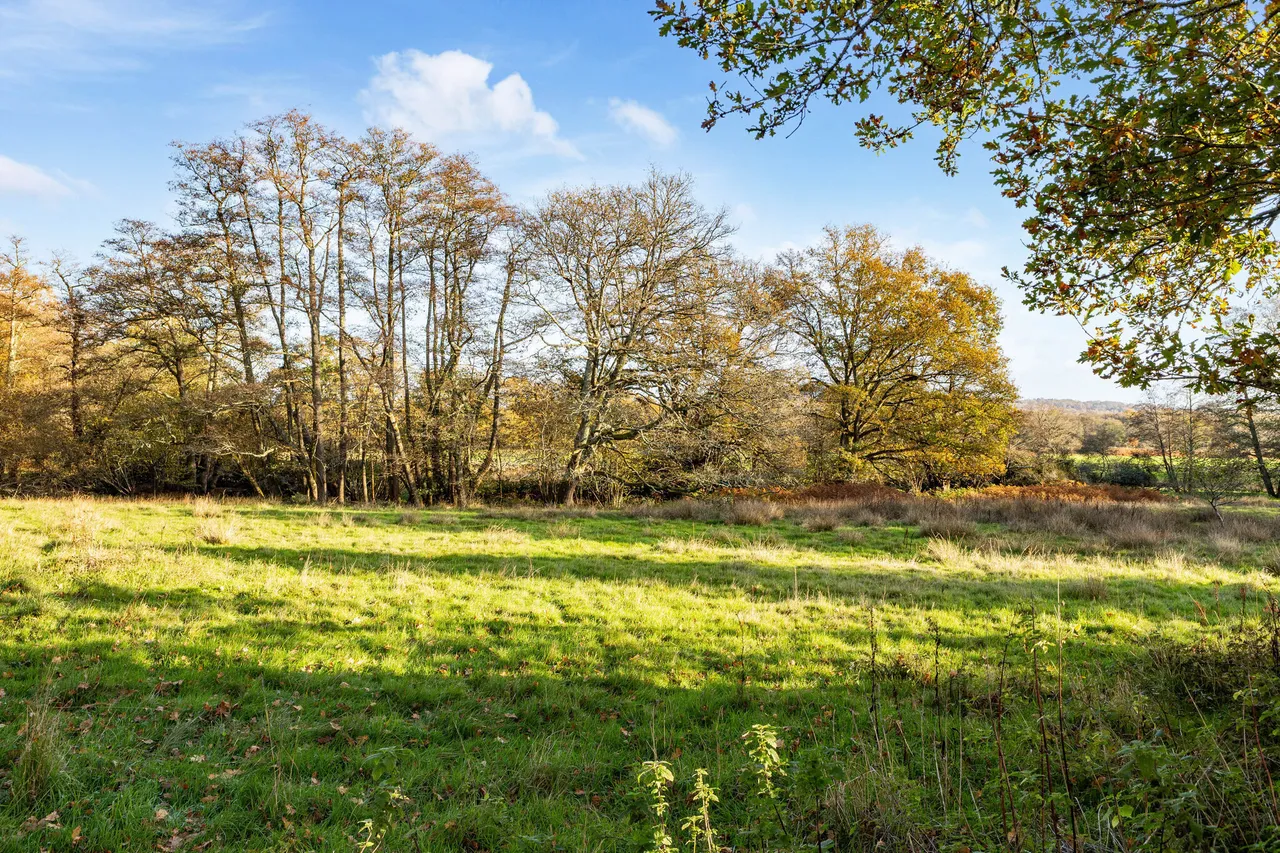 Wardley Green, Milland, GU30, photo 9