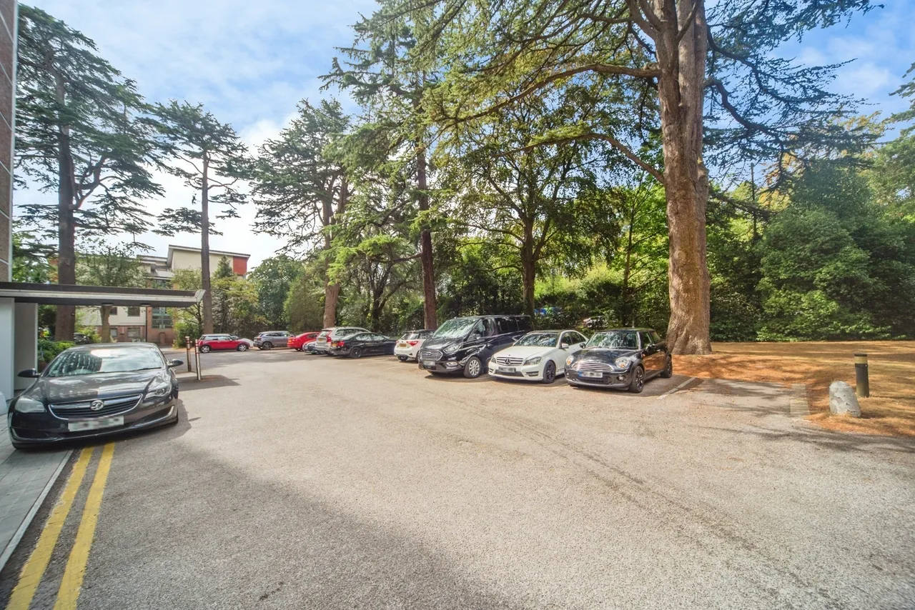 Bassett Avenue, Southampton, SO16, photo 20