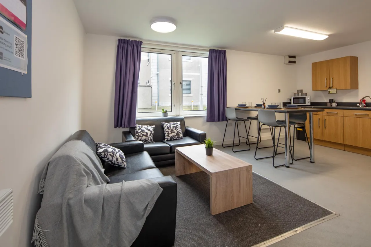 St Peter Street, Aberdeen, AB24, photo 6