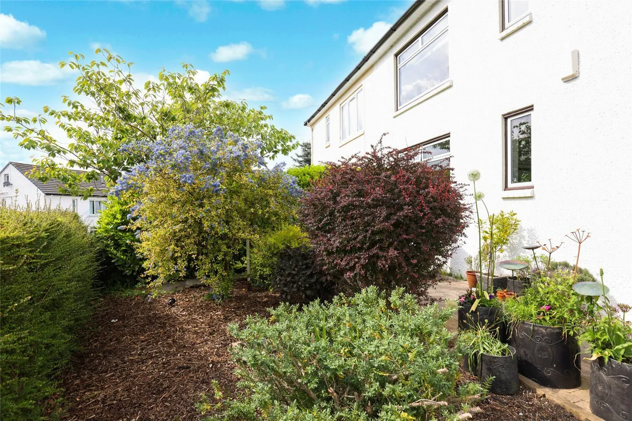 Graffham Avenue, Giffnock, Glasgow, East Renfrewshire, G46, photo 23