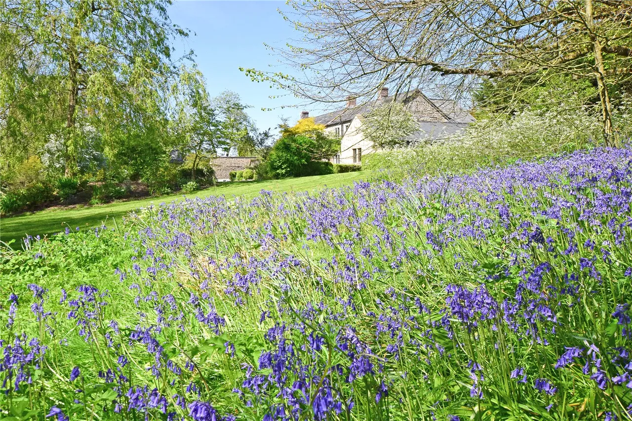 Lower Lane, Dalwood, Axminster, Devon, EX13 7EE, photo 24