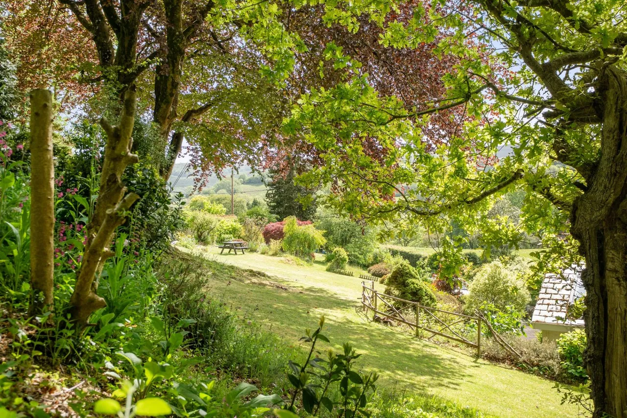 Lustleigh, Newton Abbot, TQ13, photo 24
