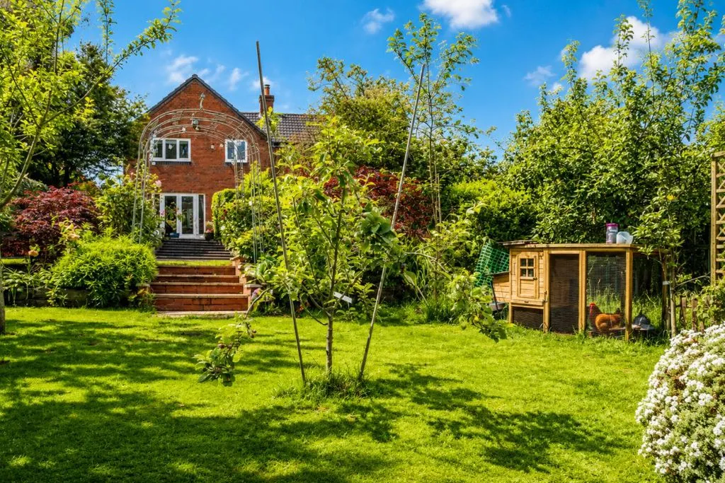 Hayfield Hill, Rugeley, WS15, photo 33