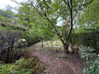 Osborne Road, Warsash, SO31, photo 26