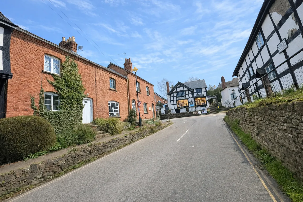 Bridge Street, Pembridge, HR6, photo 14