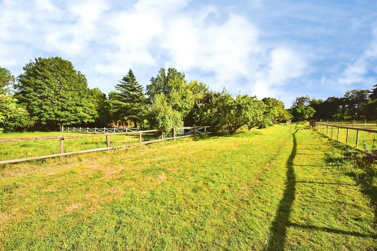 Broadwater Road, West Malling, Kent, ME19, photo 12