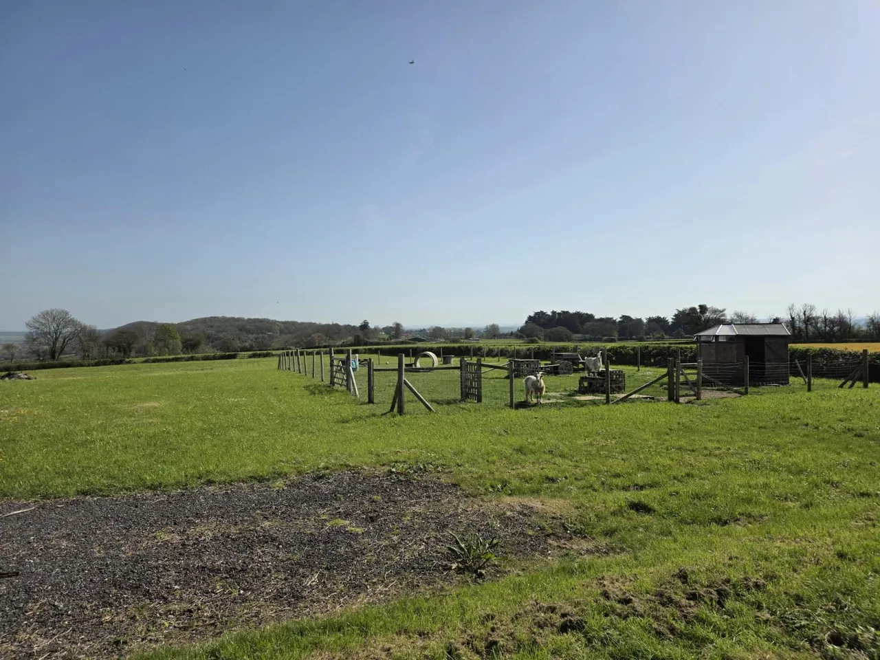 Wrantage, Taunton, photo 27