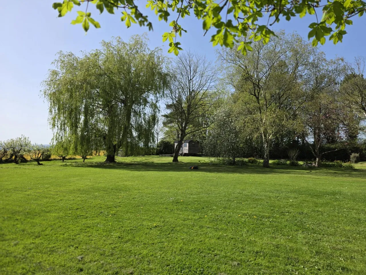 Wrantage, Taunton, photo 26
