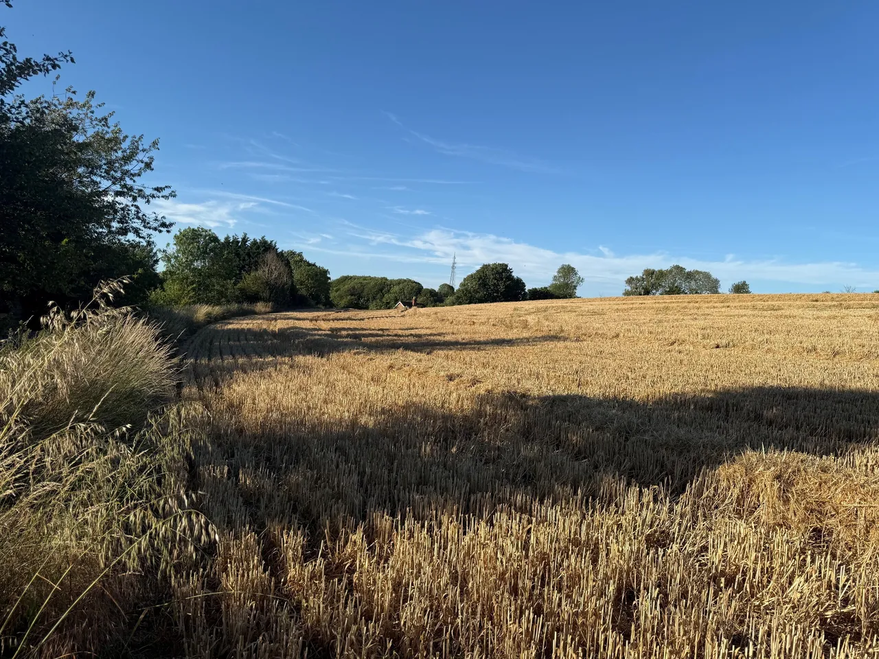 Longstreet, Enford, SN9, photo 10