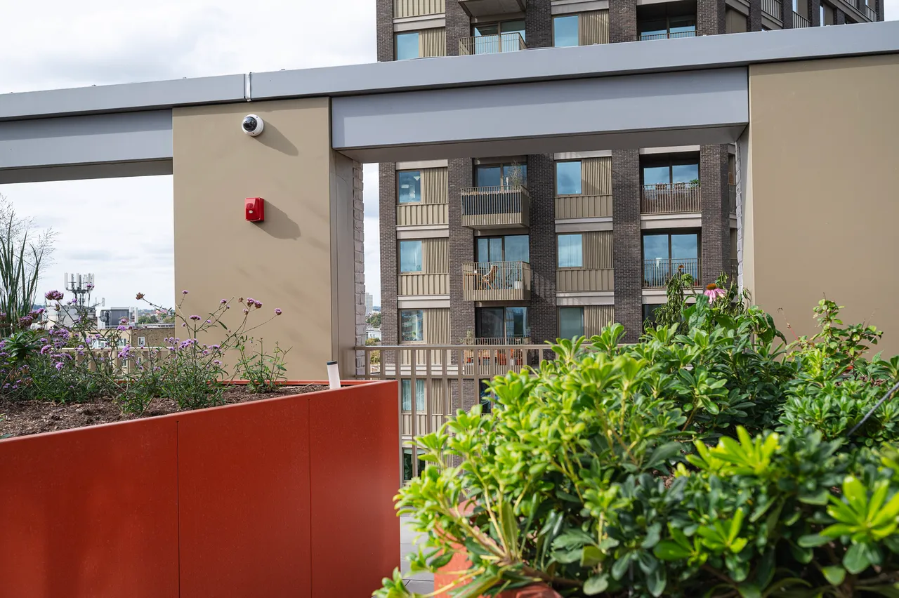 London, N17, photo 24