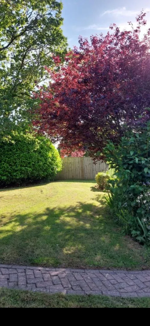 Shelley Close, Crook, DL15, photo 23