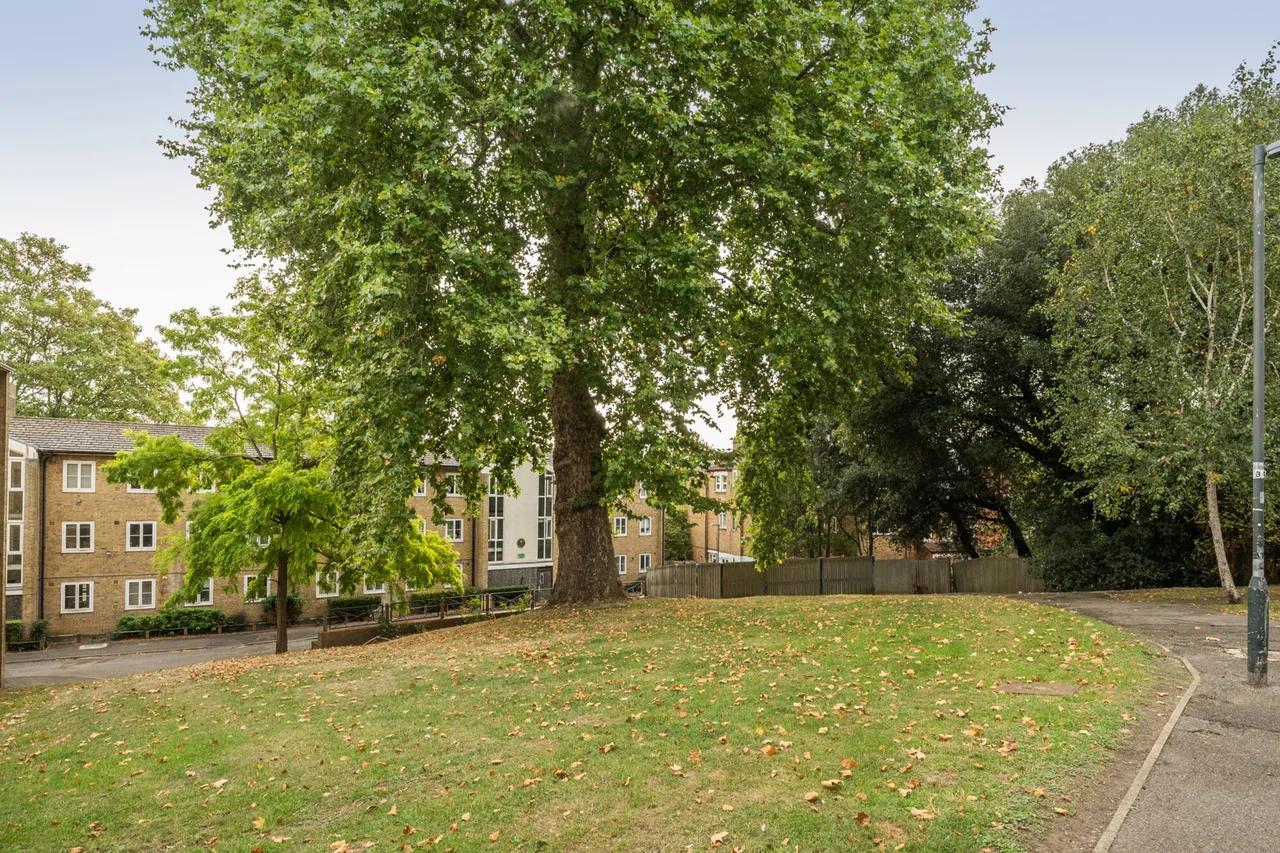 Chulsa Road, SE26, photo 10