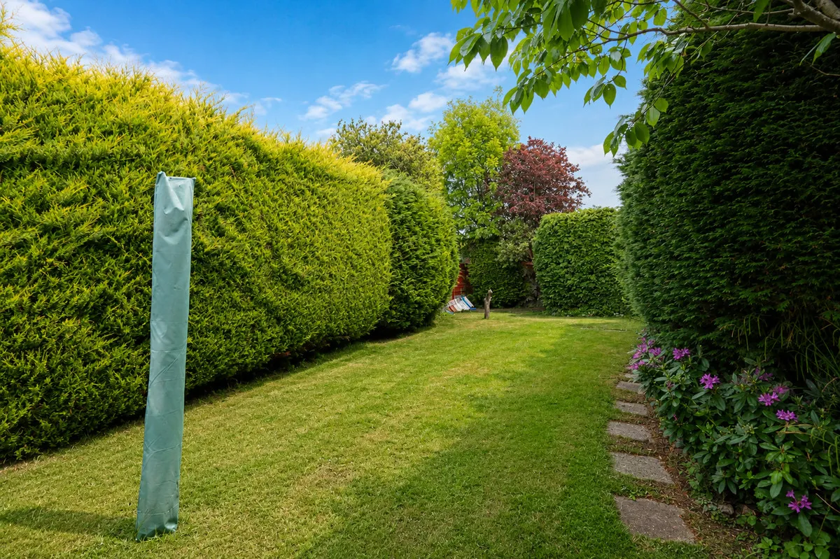Merlin Gardens, Romford, RM5 3YD, photo 16