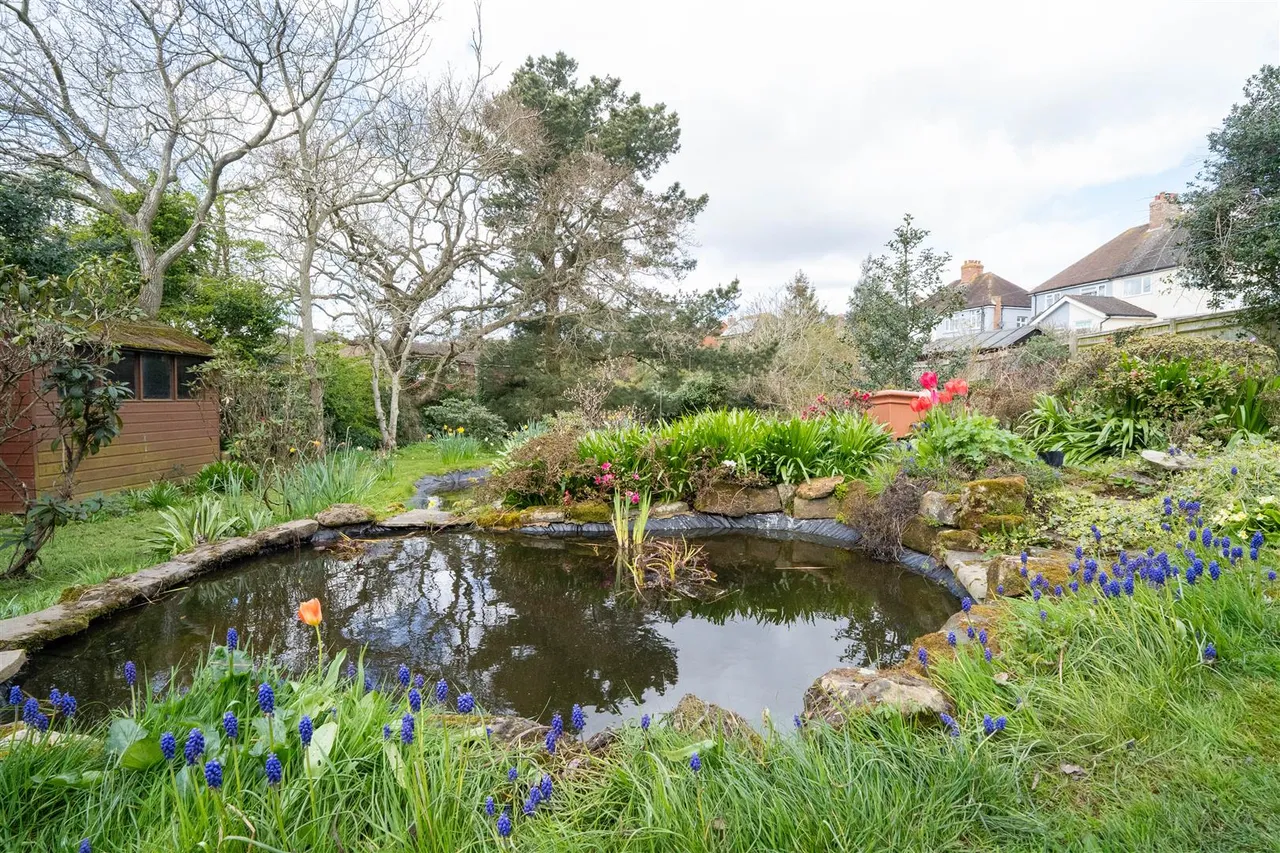Wilmington Road, Hastings, photo 28