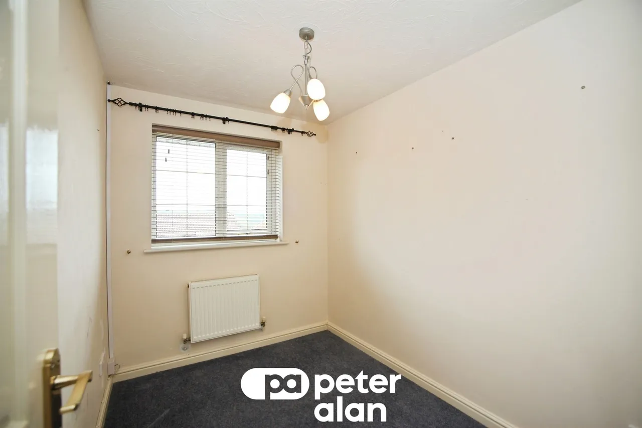 Llwyn Coed Blackwood, NP12, photo 13