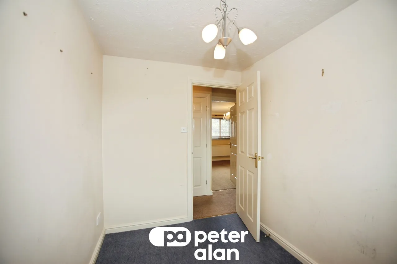 Llwyn Coed Blackwood, NP12, photo 12